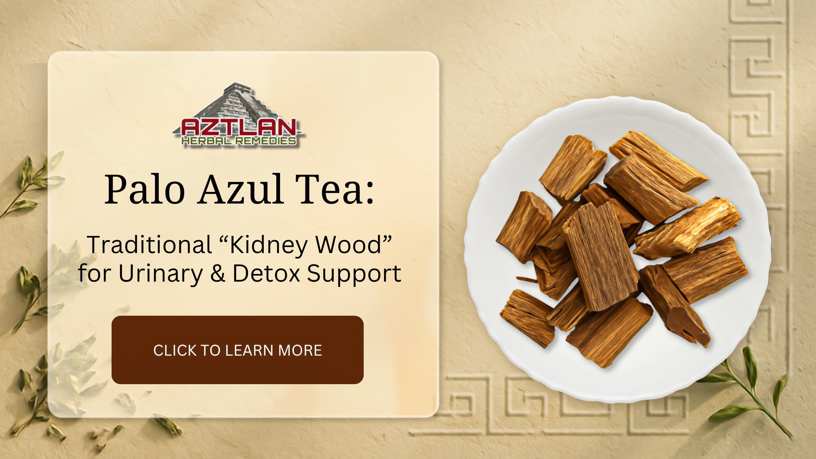 Palo Azul Tea: Traditional “Kidney Wood” for Urinary & Detox