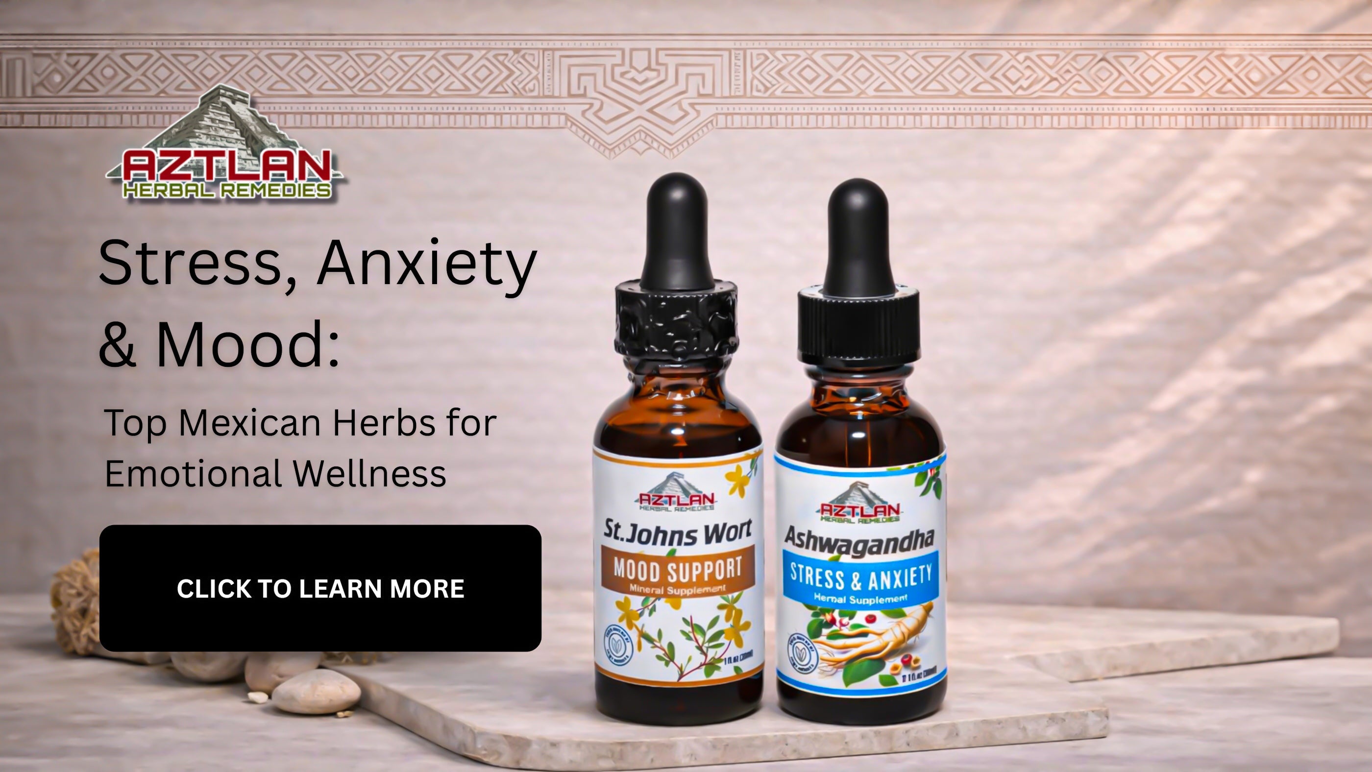 Herb Benefits Deep Dive: Cuachalalate for Digestion, Gut Health