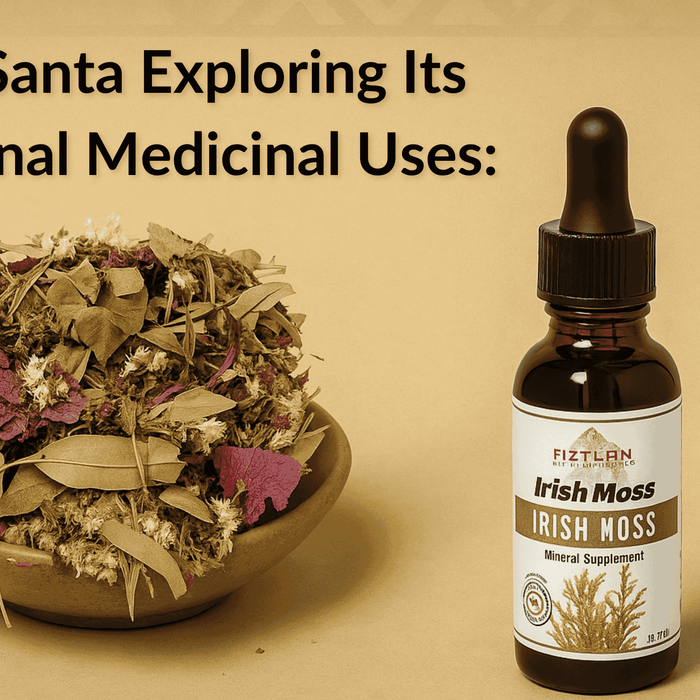 A digital photograph of Aztlan Herbal Remedies' Irish Moss tincture and a dried herbal blend arranged on a neutral-toned background, styled to highlight traditional herbal medicine and respiratory wellness.