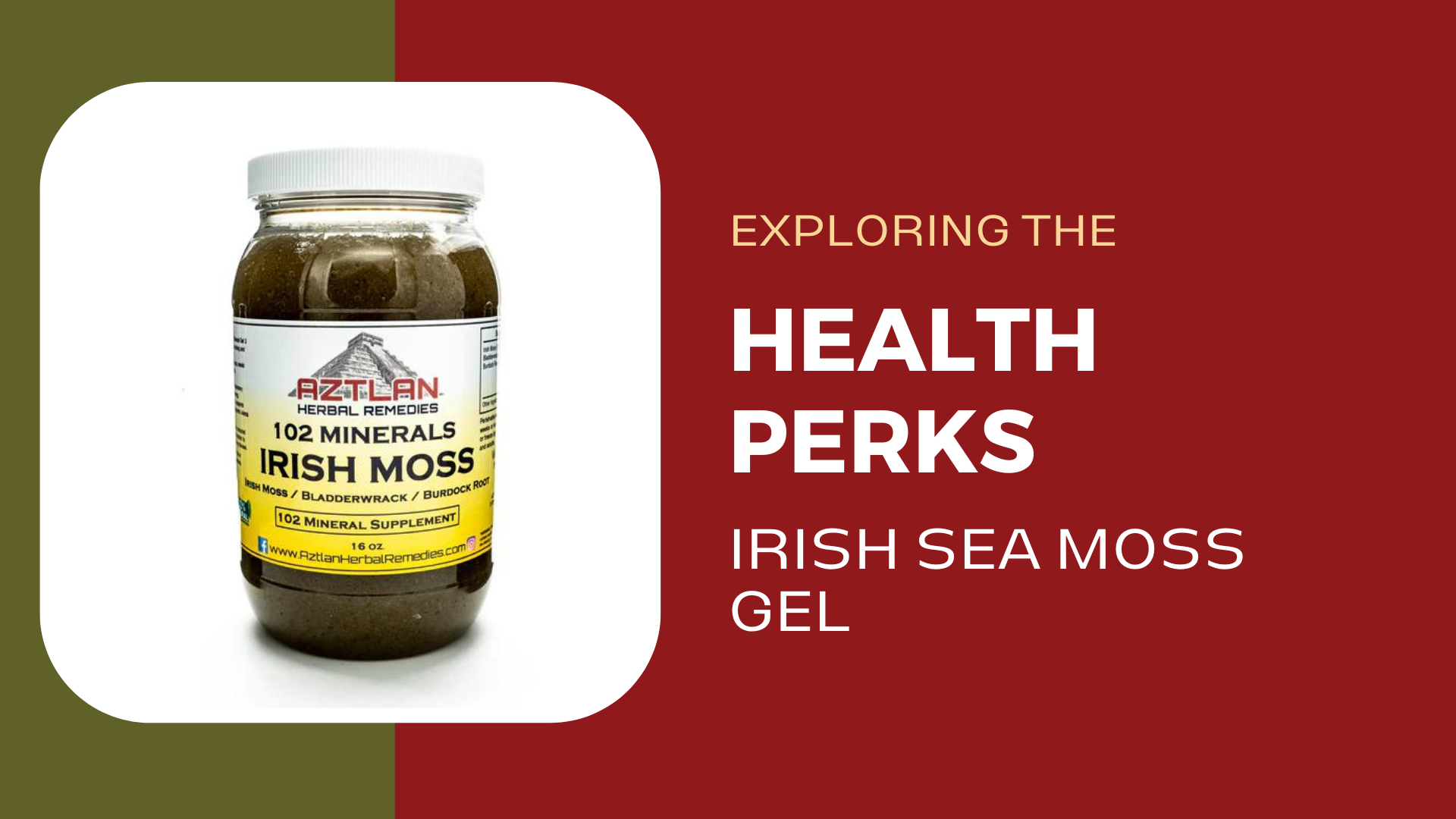 Exploring the Health Perks of Irish Sea Moss Gel Aztlan Herbal Remedies