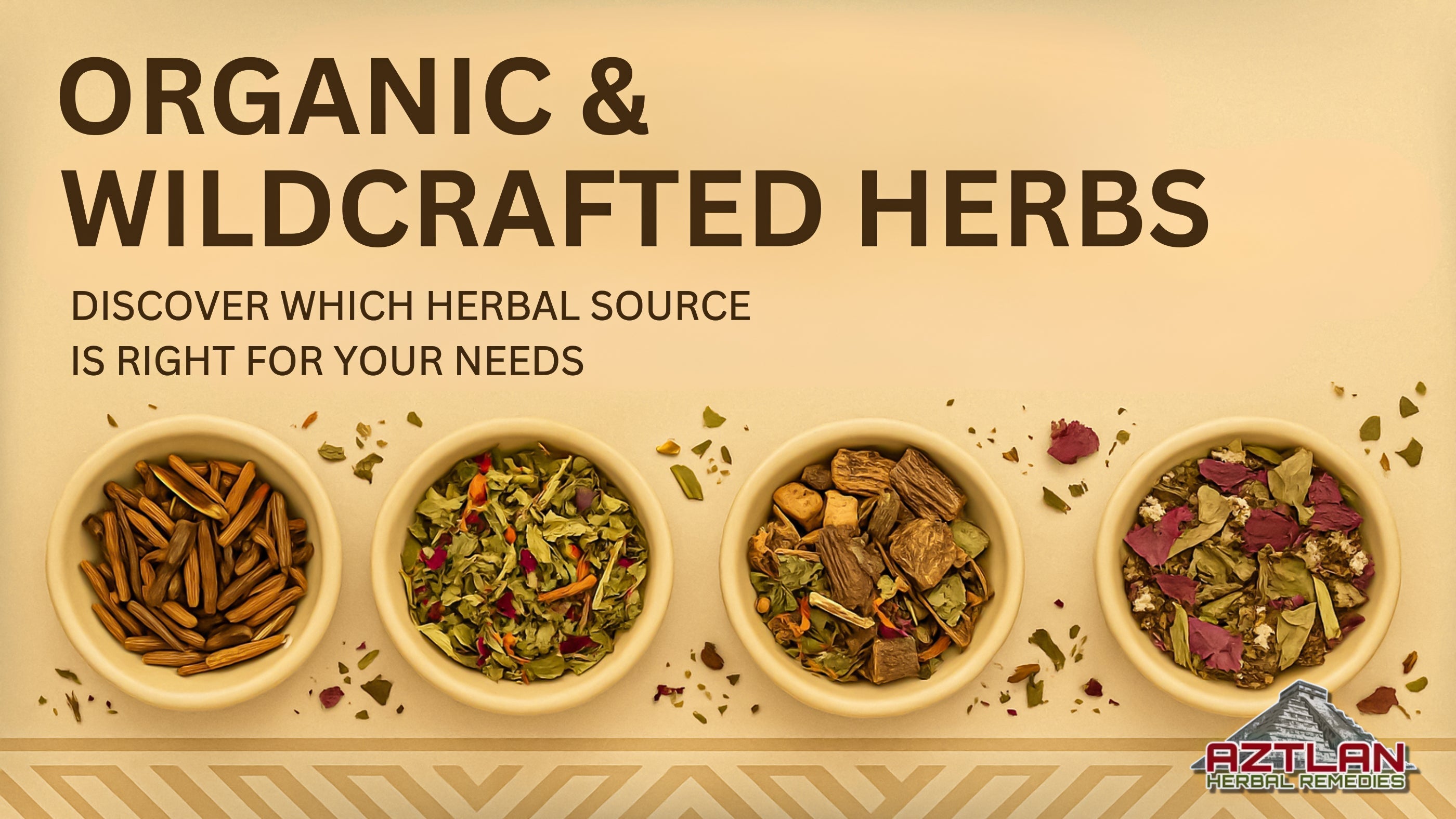 Organic vs. Wildcrafted Herbs: Understanding the Key Differences