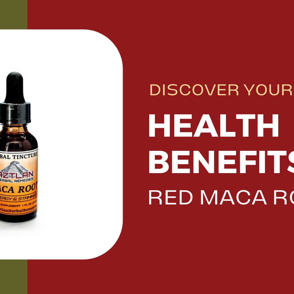 Discover the Health Benefits and Uses of Red Maca Root Aztlan Herbal