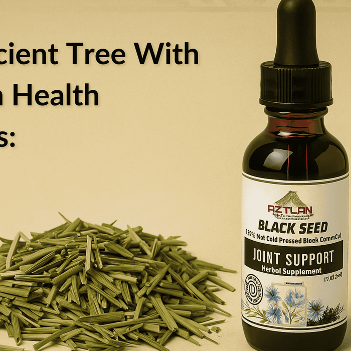 “A photograph displays two natural health products—Aztlan Herbal Remedies Black Seed Oil and dried lemongrass—arranged on a parchment-colored background with a warm, herbal-themed aesthetic, inspired by traditional wellness practices.”