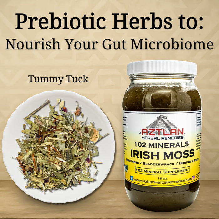 Prebiotic Herbs to Nourish Your Gut Microbiome