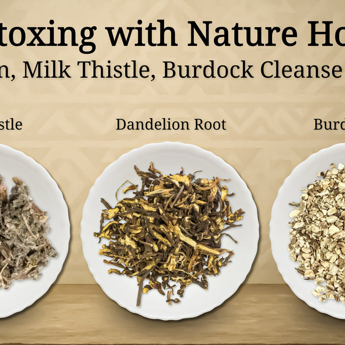 Detoxing with Nature: How Dandelion, Milk Thistle, and Burdock Cleanse the Liver