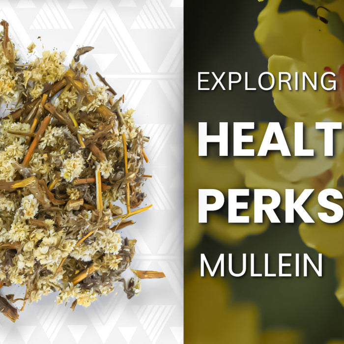 Discover the Benefits of Mullein Leaf for Your Health