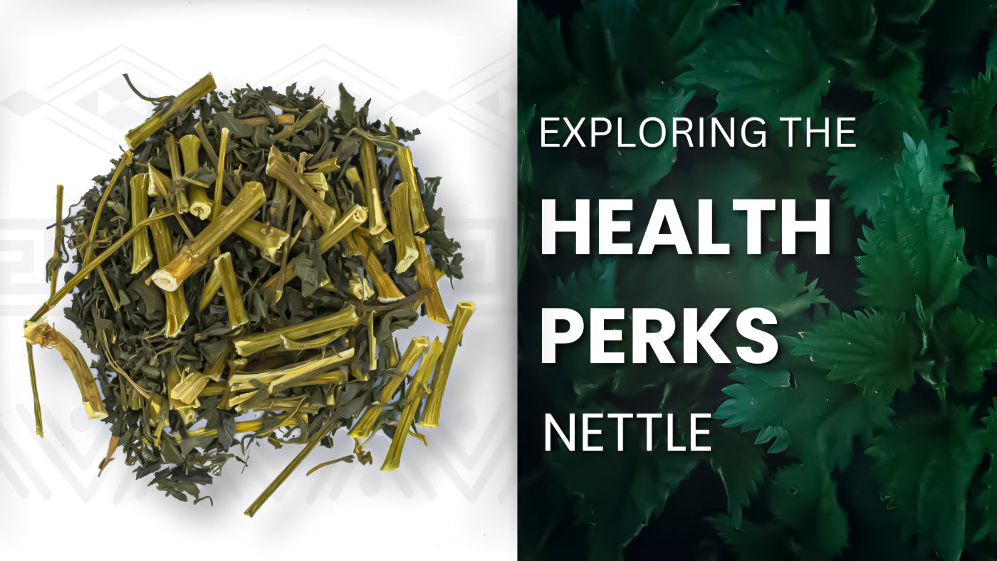 Discovering the Wonders of Nettle Leaf
