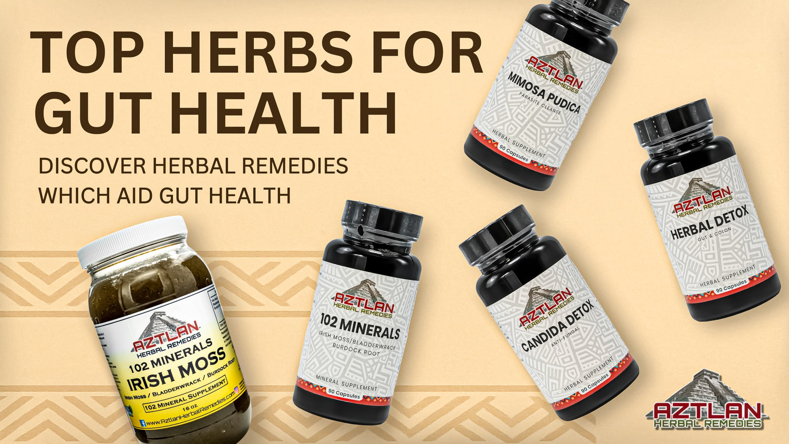 Herbs for Gut Health