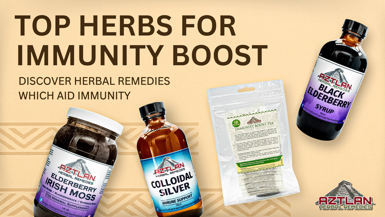 Unlocking the Benefits of Elderberries, Echinacea Purpurea, Ginger Root, Burdock Root, Nettle, and Devil’s Claw