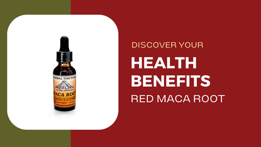 Discover the Health Benefits and Uses of Red Maca Root