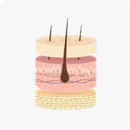 SKIN & HAIR HEALTH