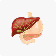 LIVER, GALLBLADDER & PANCREAS HEALTH