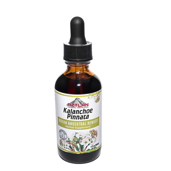 Kalanchoe Tincture 2oz