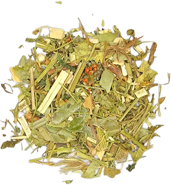 Prostata Herbal Tea Blend