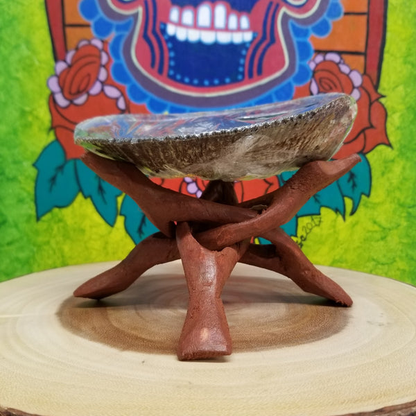 Large Abalone Shell with Stand 5-7"